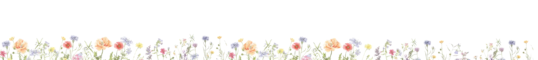 きれいな花