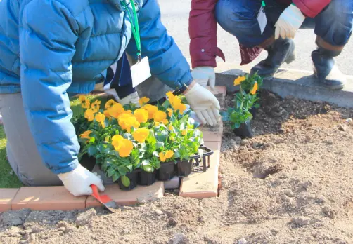 特定非営利活動法人介護情報館紹介イメージ1