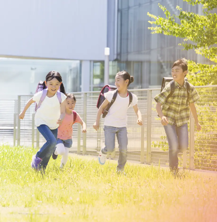 特定非営利活動法人トリエルトップイメージ