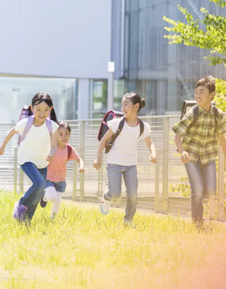 特定非営利活動法人トリエルトップイメージ