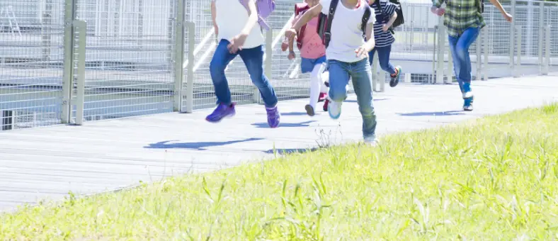 特定非営利活動法人トリエル中央イメージ